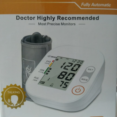 Digital blood pressure model (A6-BSX561)